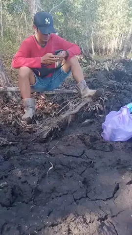 nihh Tess masuknya aja Balum bagawinya lagee