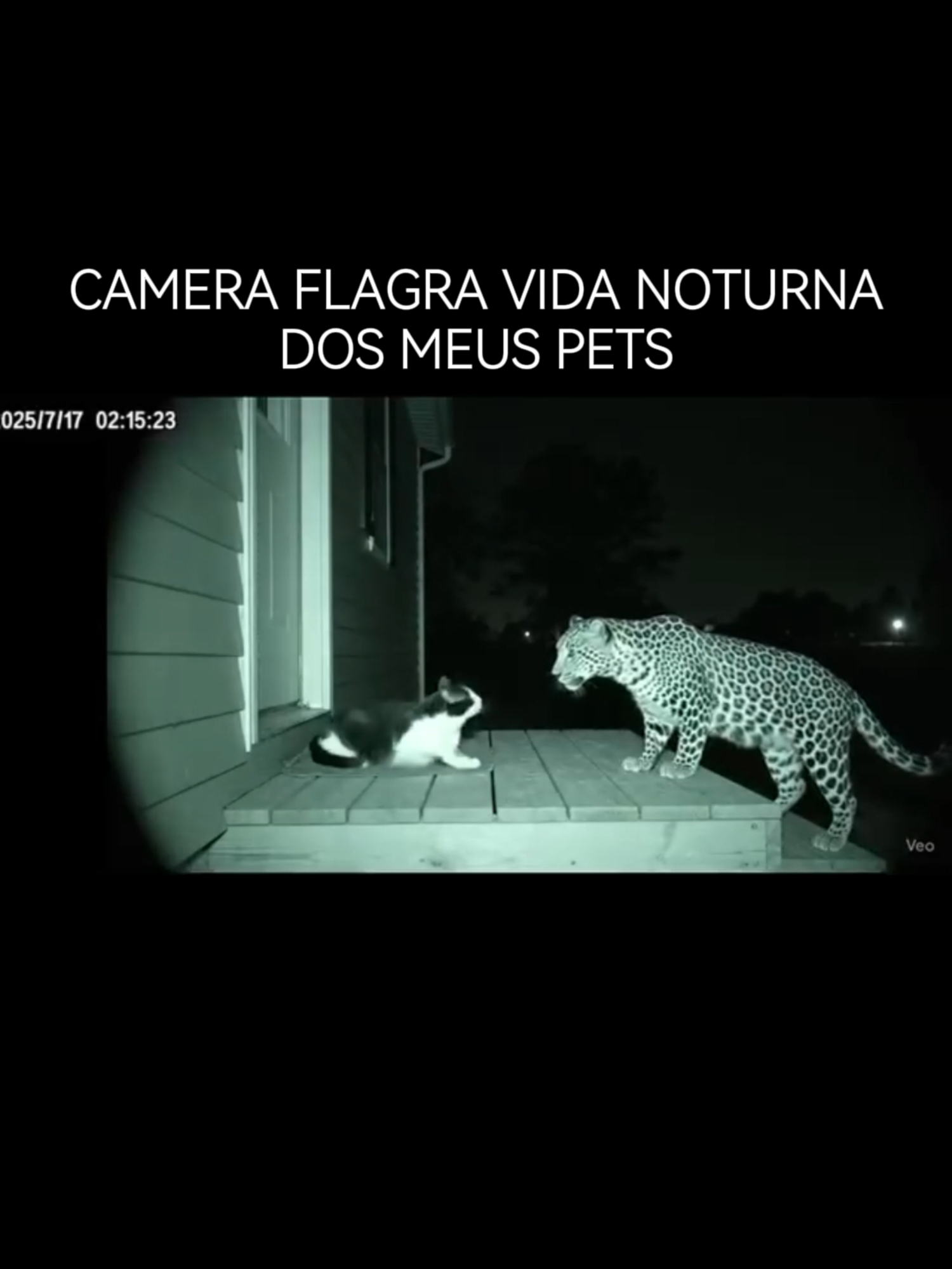 🎥🐾 Câmera de segurança flagra meus pets em uma verdadeira noitada secreta! 😹💃 Nunca imaginei que meus bichos tivessem uma vida noturna mais agitada que a minha! Essa é uma daquelas cenas que misturam fofura, humor e um toque de “o que tá acontecendo aqui?” — com aquela pitada de inteligência artificial pra dar o toque cinematográfico final. ✨🐶🐱 Eles são estrelas. Eu sou apenas o humano que paga o aluguel. 🔥 #veo3, #midjourney, #ia, #aiart, #petlovers, #funnyai, #cinematicai Quer ver mais artes surreais e engraçadas com inteligência artificial, siga @evolutions.ia Vem rir e se inspirar com a gente! 😍✨