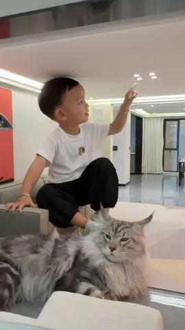 Giant kid or tiny house?! Lets take a tour of the mini-house! #可愛 #可愛いペット #cute #cutecat #cutepet #xingzhilei #xingsworld #miniature 