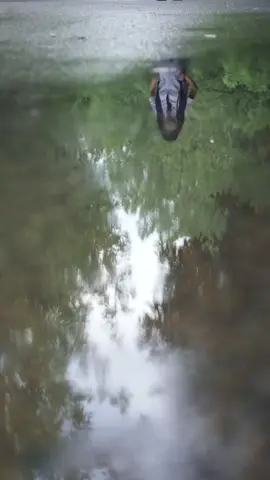 第1集：↑↑↑點擊視頻左下角觀看精彩後續。重活一世成為頂梁柱#因為一個片段看了整部劇 #好劇推薦 