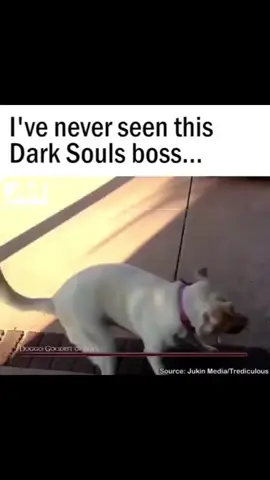 Hora de ver quem é quem! 🏴‍☠️ #videogames #games #darksouls #darksouls2 #darksouls3 #soulslike #hard #hardwork #rpg #level #criaturas #armadilhas #boss 