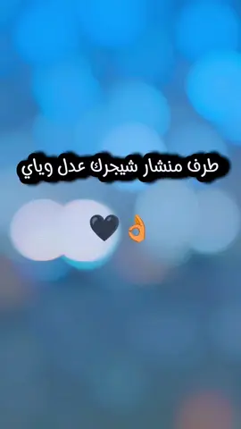 #CapCut #عبارات 