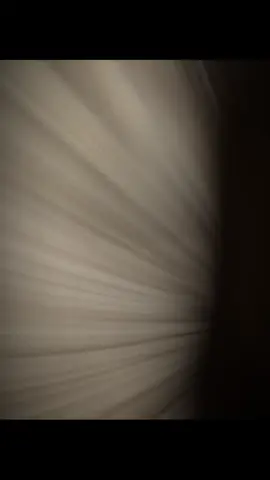 #CapCut 