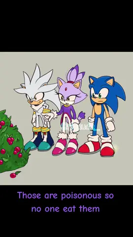 #Sonic #SonicTheHedgehog #Silver #SilverTheHedgehog #Blaze #BlazeTheCat 