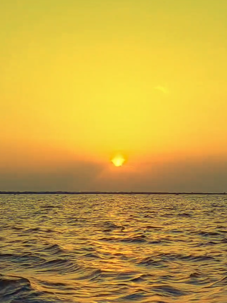 অবশেষে কিছুই আমার হইলো না। মুগ্ধ করা চাঁদ, প্রিয় ফুল, প্রিয় মানুষ, এমনকি তুমিও না।🥹❤️‍🩹 #fyp #vairal #foryoupage #foryou @∆RIY∆N🎬 @TikTok All World ￼ @Arifin @Tonmoy-!!🙆 