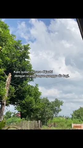 Denger lek #tebo #bungo #rimbobujang #jambi #teborepost 