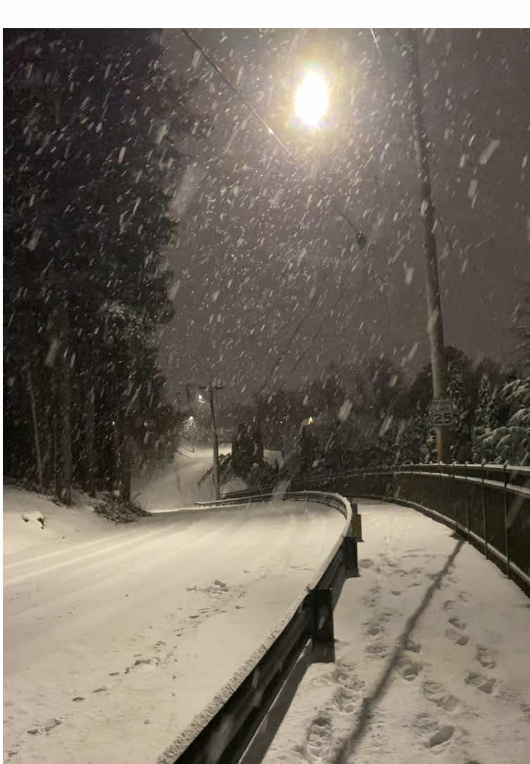 #winter #fyp #snow