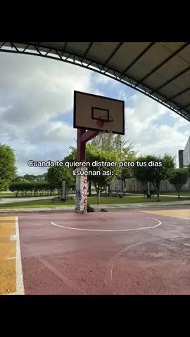 #CapCut #humortiktok #NBA #editsdebasketball #basketball #basketballedits #nbaedits #basketballedit #parati #basketballclips #foryoupage #fyp #edit #edits #fútbol #ronaldo #messi #futbol #viral #viralvideo #viraltiktok #video #basquet #basquetbol #basquetball #fiba  #curry #lebron #lebronjames #michaeljordan #tikto #top