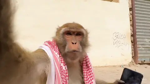 #fyp #الطايف_فلوقات_تيك_توك #اكسبلور 