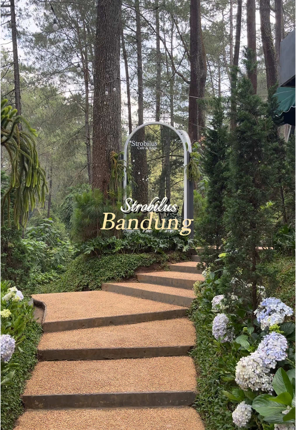 Cafe aesthetic di bandung ✨  📍jl. Tangkuban Perahu,Lembang #cafeaesthetic #explorebandung #cafebandung #placetogobandung #bandung #fyp 