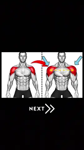 Exercises for wider shoulders 