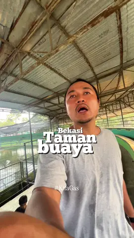 Emang agak laen negara ini #buaya #bekasi #KitaGas #taman #fyp