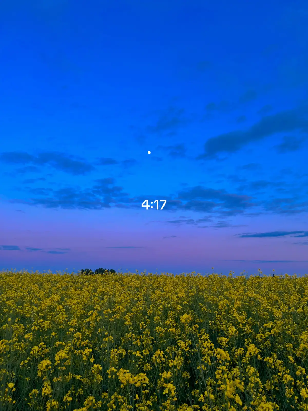 #nature #naturetiktok #naturelover #fypシ゚ #fyp #Summer #naturevibes #naturelove #sunrise #photomagic #naturephotography #clouds #sky #sunset #summervibes #summertime 