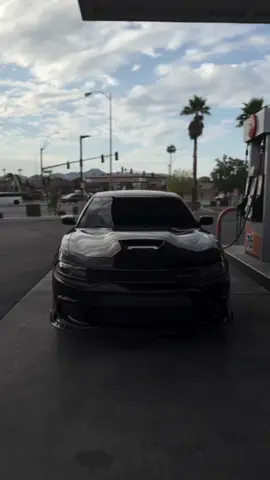 🖤🥷🏿                                                        #dodeg_srt_hallcat #foryoupage #دوج_جارجر_هيلكات_srt_الوحش_امريكي💘، #fypシ゚viral🖤tiktok☆♡ #وحش_امريكي☠️🇺🇸 #دوج_تشارجر_هيلكات❤️‍🔥 #دوج_جارجر_هيلكات_srt_الوحش_امريكي🖤 