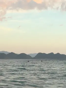 surf wiht sunset🌅 #weves #surfing #surfvibes #aceh #video #fyp #sunset #golden 