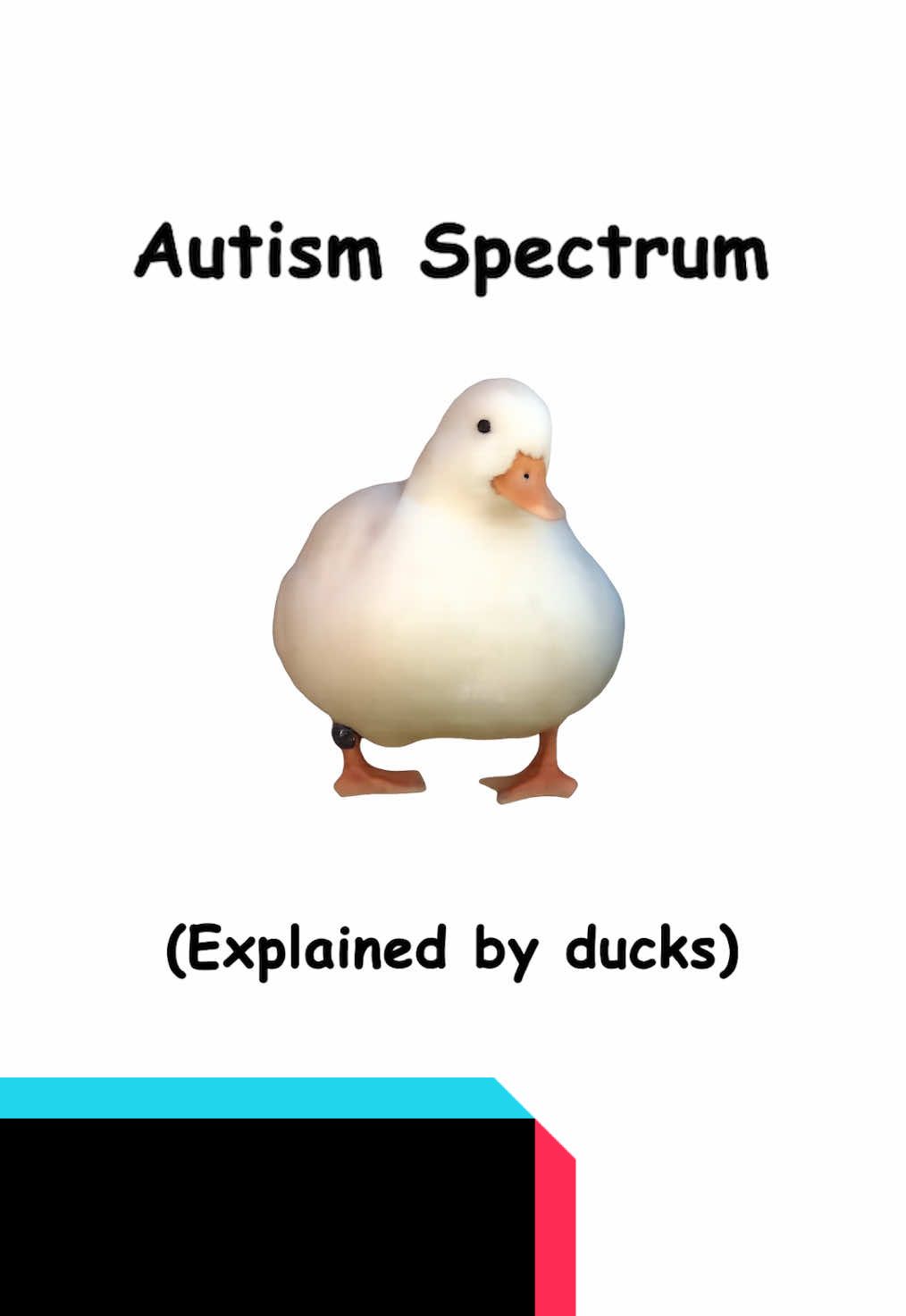 Autism spectrum explained by ducks #autism #spectrum #autistic #autismawareness #ducks #ducksoftiktok #MentalHealth  