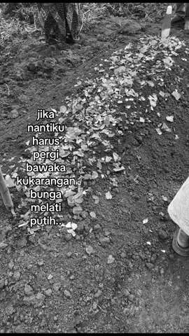 #bungamelati #putih #fyppppppppppppppppppppppp 