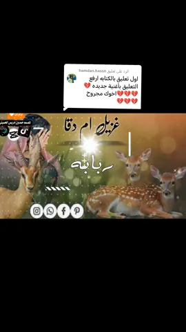 الرد على @hamdan.hassn 