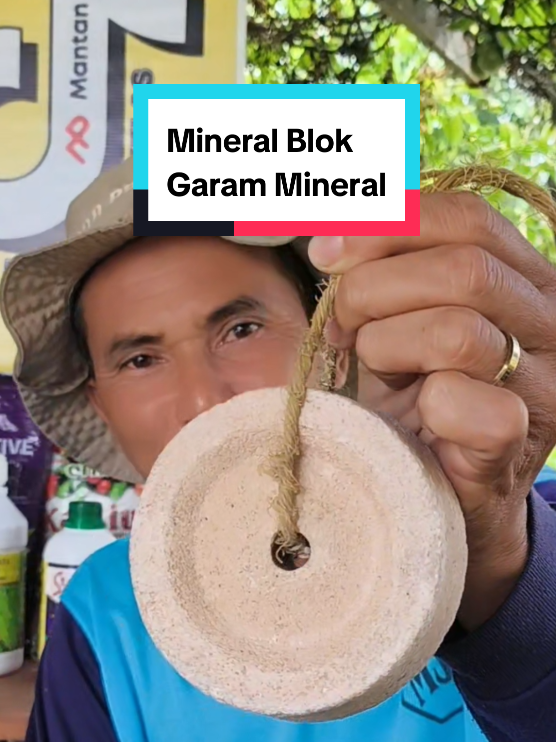 Membalas @jackmall.marine Mineral Block Premium | Mencukupi kebutuhan garam ternak domba, kambing, sapi dan kerbau #mineralblok #garammineral #ternakdomba #mantanpacar 