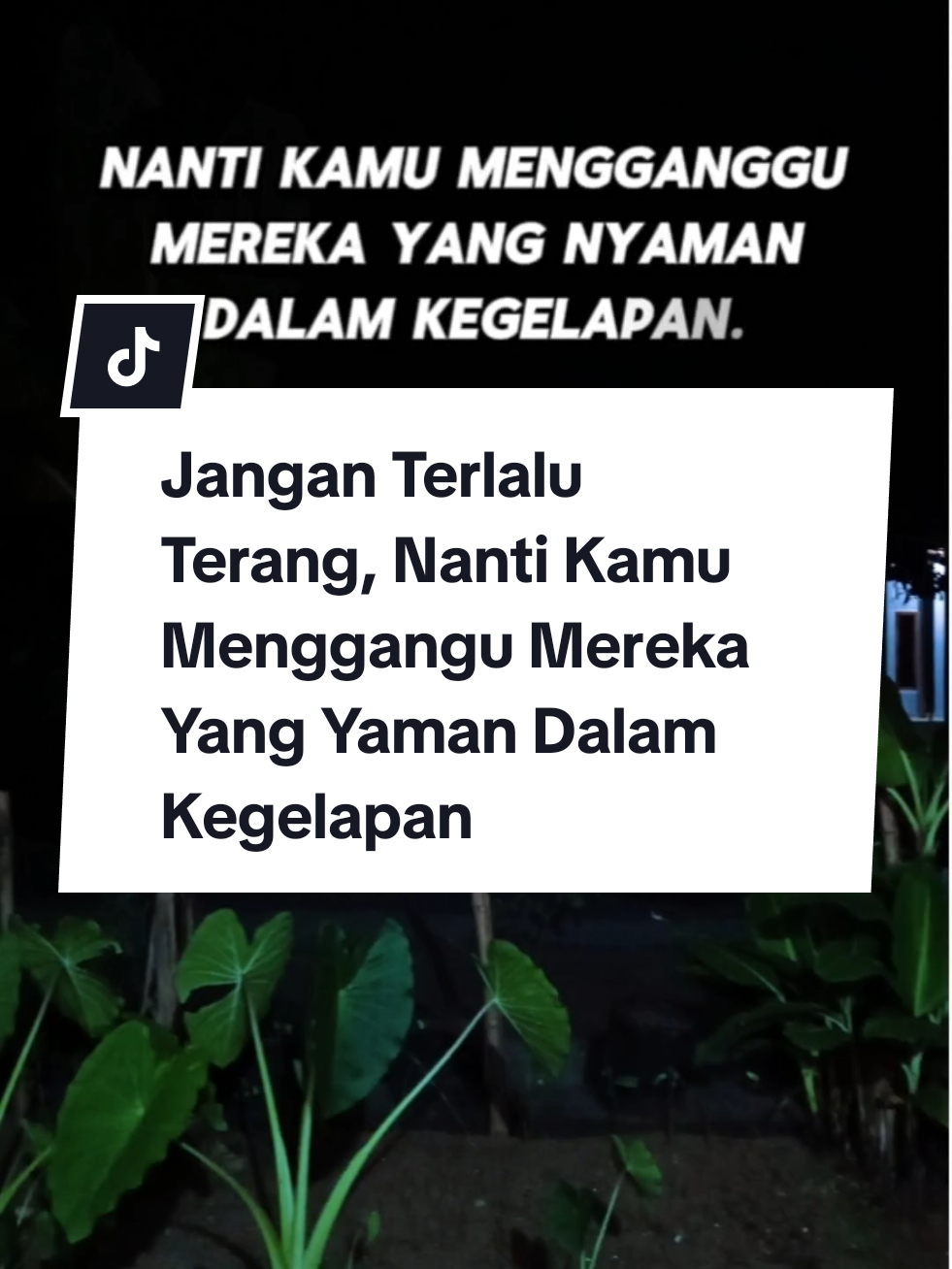 Jangan Terlalu Terang, Nanti Kamu Menggangu Mereka Yang Yaman Dalam Kegelapan #katabijak #motivasi #kebaikan #toxic #npd #hidupbebasdrama #katakata 