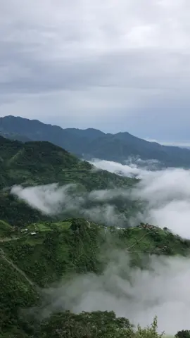 Hamro Dharan ramro Dharan❤️☁️ 📍khaire danda,dharan-20 #fy #dharan #view #xybca #trending #trekking #camping #peace #foryourpage #fyppppppppppppppppppppppp #khairedanda #hill #dharane #enjoyinglife @Prabesh chettri @Anis @Sahil Cham rai @JENESH GHLAN LAMA @VICKSS @manishdiyali775 @ROHANNNNNN 