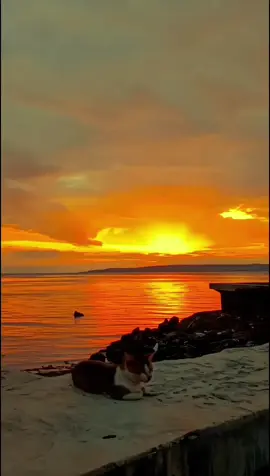baku sayang itu gampang, yang sulit itu hanya pertemuan;) #tiktokimpact #fyp #foryou #fypage #butonpride🏝 #timurpride🔥 #lagutimur #sunsetvibes #sunset 