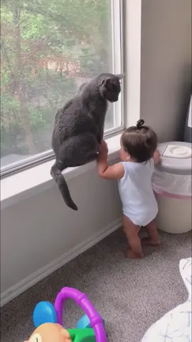 My cat is not vibing with the new baby 😹👶 #fyp #cat #cats #catlover #catsoftiktok