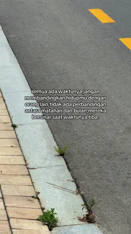 ngopo kok dibanding