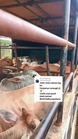 Membalas @rio.ramadhani2 