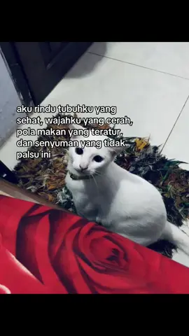 😿: ruok bg? #masukberandafyp #djharisnugraha #lagusad🥀 #4u #sadvibes #trending 