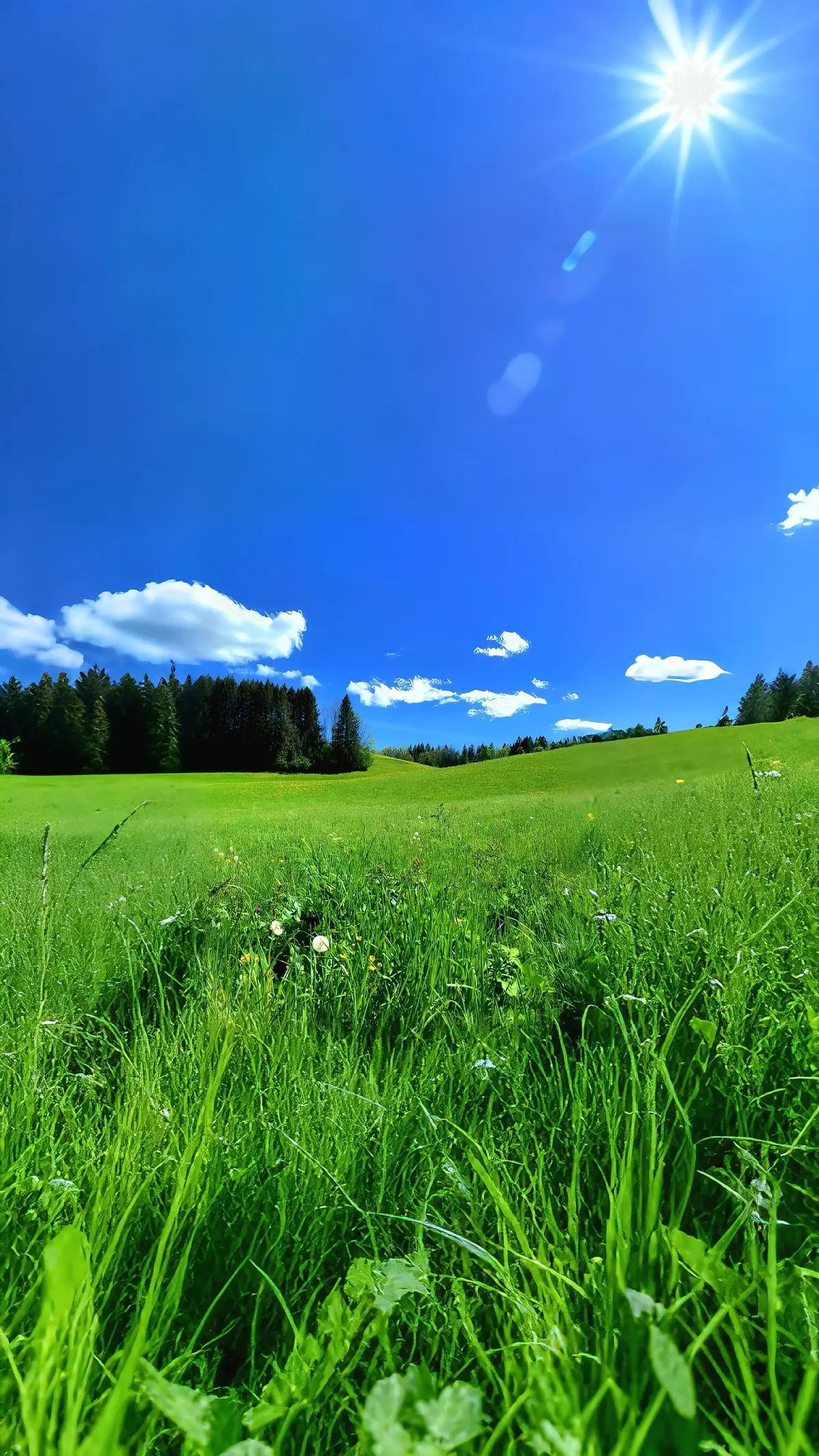 #fyp #nature #travel 