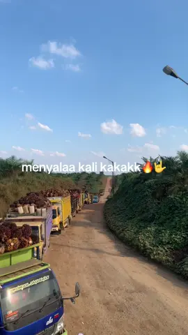 bungkus karetnya 2 yg pedass #sawitontiktok #truksawitjambi #kontentiktok #trukmaniaindonesia #jambipride🏴‍☠️ #tokesawit #fyppppppppppppppppppppppp #storysawit🌴🌴 #soundviral #storyhiburan #fypシ゚viral @ᴋᴀᴄᴀɴɢ ᴘᴀɴᴊᴀɴɢ.ɪᴅ @Andika Pratama @maiting @bramantio @𝓕𝓪𝓳𝓪𝓻 𝓻𝓮𝓯𝓪𝓷𝓭𝓲🗿 