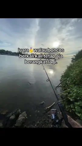 #storymancing #mancing #fyp 