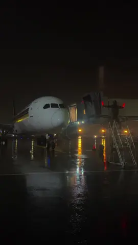 rain or shine. #fyp #rain #fypツ #groundcrew #airplane 