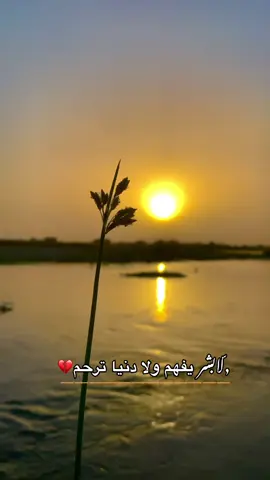 #تصويري_احترافي_الاجواء👌🏻🕊😴 