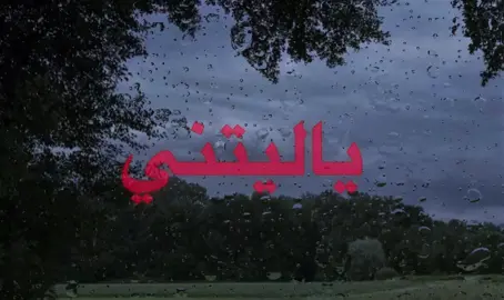 راحه من الأغاني🤍#fypシ #fyppppppppppppppppppppppp #viral #قران_كريم #الحمدلله_دائماً_وابداً #ماهرالمعيقلي 