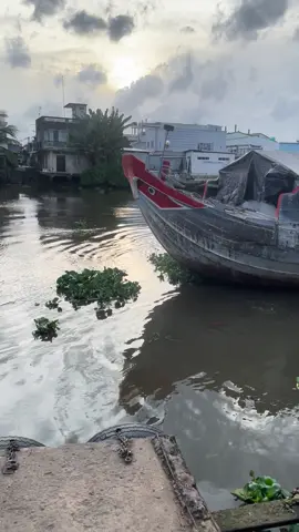 6 102 độ ống xả nge im tay quá🤣🤣🤣🐆🐆🐆