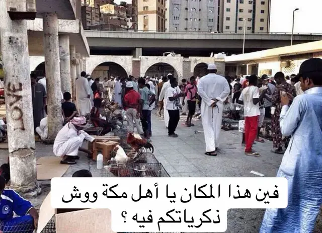 #مكة #مكة_المكرمة #مكةالمكرمة #مكة_الان #مكة_زمان #مكة_قديم#زمان #قديم #ذكريات #ذكريات_الطفولة #سوق #حراج #حمام #طيور #الحمام #الطيور #حلقة #العتيبية #جرول #الملاوي#العزيزية #النسيم ##الصيف #ويكند #اجازة #الاجازة #الاجازة_الصيفية #الذكريات #اهل_مكة #زمان_يافن #قران #قران_كريم #تلاوة #تلاوة_خاشعة #صورة #صورة_اليوم #تلاوة_خاشعة #تلاوات #تلاوة_حجازية #الحجاز #مكة 