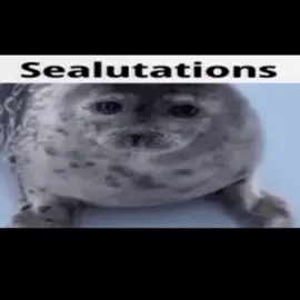 I love voicing stuff it's so fun!! Thank you so much for the support I'll post the requests shortly #voiceacting #voiceactedmeme #fyp #silly #shitpost #sealtok #seals 