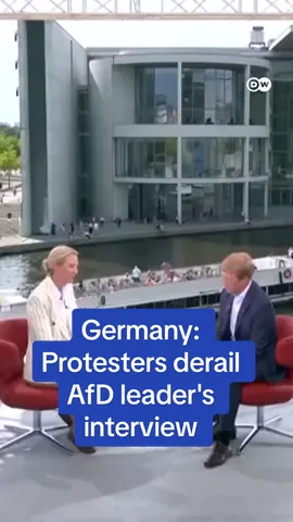 Far-right leader Alice Weidel's big 