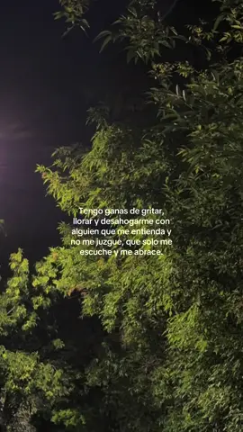 … #depresion #noches #saludemocional #remmy ##inventame #fpy #viral #foruyou #paratii 