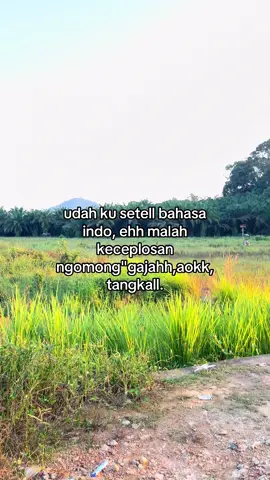 😭😭#fyppppppppppppppppppppppp #xyzcbaa #katakatadayakkanayatn #kalbarstory #dayakkalimantan #masukberandafyp #katakata 