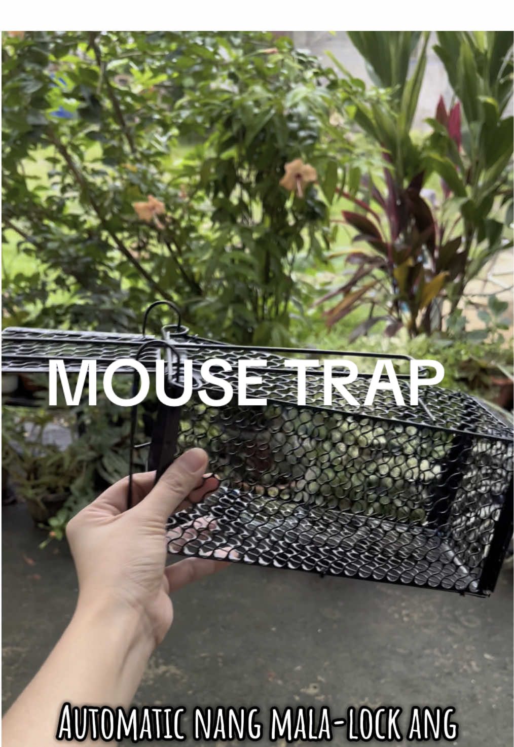 Ubos na ang mga mababait sa bahay mo.  #trap #mousetrap  #mousecatcher  #rattrap  #rodents 