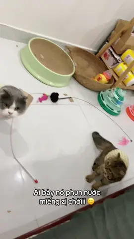 Qtqđ luôn á