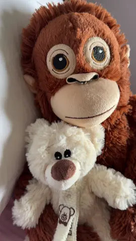 🦧🧸🥹#ikeamonkey #monkey #ikea #kesfetteyiz #fyp 