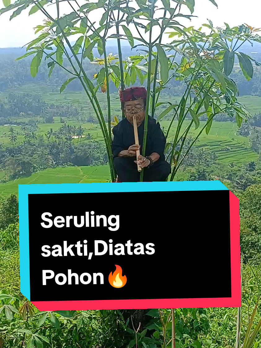 seruling sakti,Diatas Pohon🔥