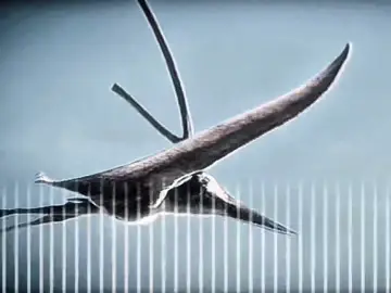 Underrated animals || Pterosaurs #pterosaur #edit #flyingreptiles #prehistoricplanet #paleontology #viral #documentary #capcut #davidattenborough #fyp #jurassicworldclipz 