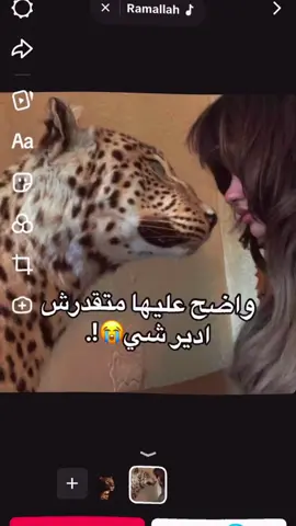 ,َنجيب،حقي،حتى،بدم😍. #شعب_الصيني_ماله_حل😂😂 #بنغازي_المرج_درنه_البيضاء_سرت_طرابلس #ppppppppppppppppppppppp 