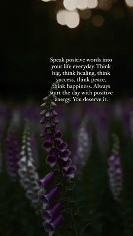 If you’re in your healing era this page is for you ✨💫💕 The way you speak to yourself matters. Your words become your atmosphere. Your thoughts shape what you believe is possible. So speak life into your day. Speak softness over your healing. Speak courage over your doubts. Speak peace into the spaces that still feel tender. You deserve to begin each day in alignment with what you want to feel— not what you’re afraid of. 🤍 💬 What’s one word you want to carry with you today? #selfloveheals #positiveenergyonly #speaklife #intentionalmornings #selfloveforwomen #SelfCare #selflovequotes #healing #selflove #healingforwomen #loveyourself #selflovetips #inspiration #healingera  #HealingJourney #selflovejourney  #healyourself, #selfhelp, #mindfulness, #personalgrowth, #MentalHealth, #selfgrowth, #innerpeace #healingtiktok 