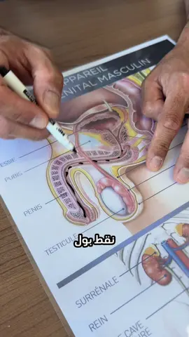 Bladder issues aren’t shameful. They’re medical. Let’s talk about it.